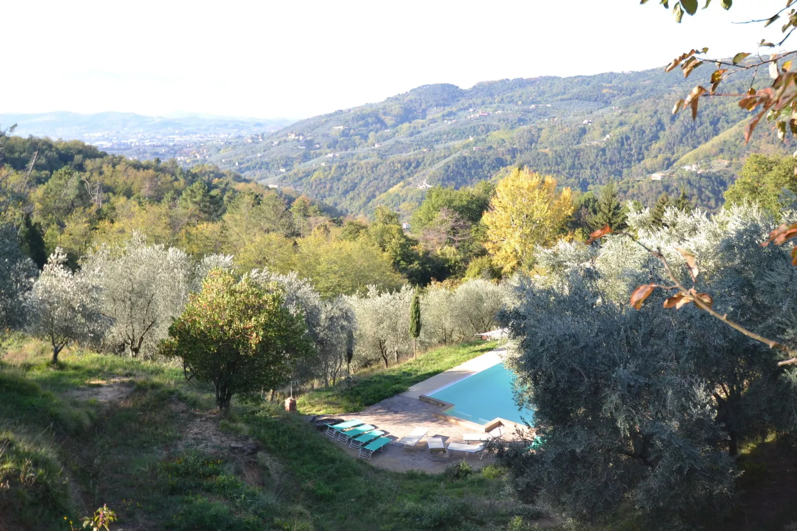 Nelverde 12-Pool