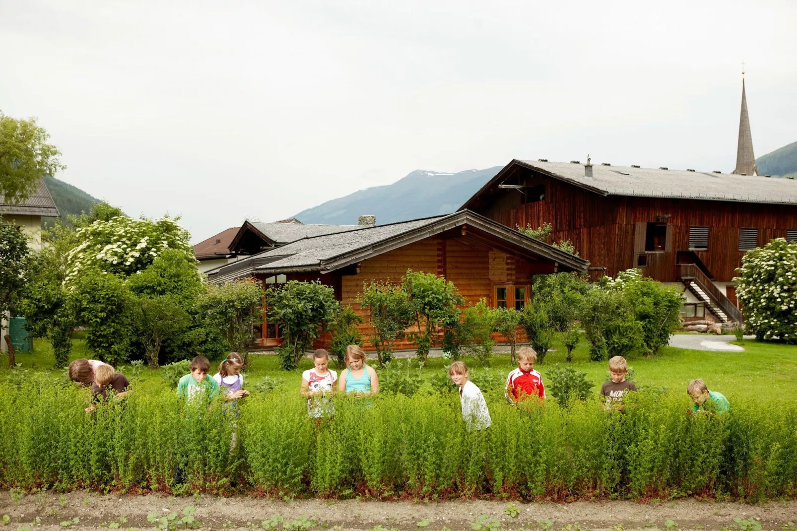 Chalet Freiblick-Areas summer 5km
