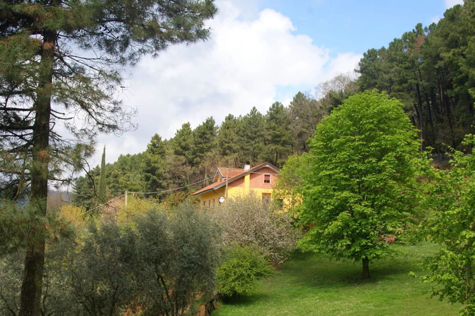 Nelverde 12-Exterior summer
