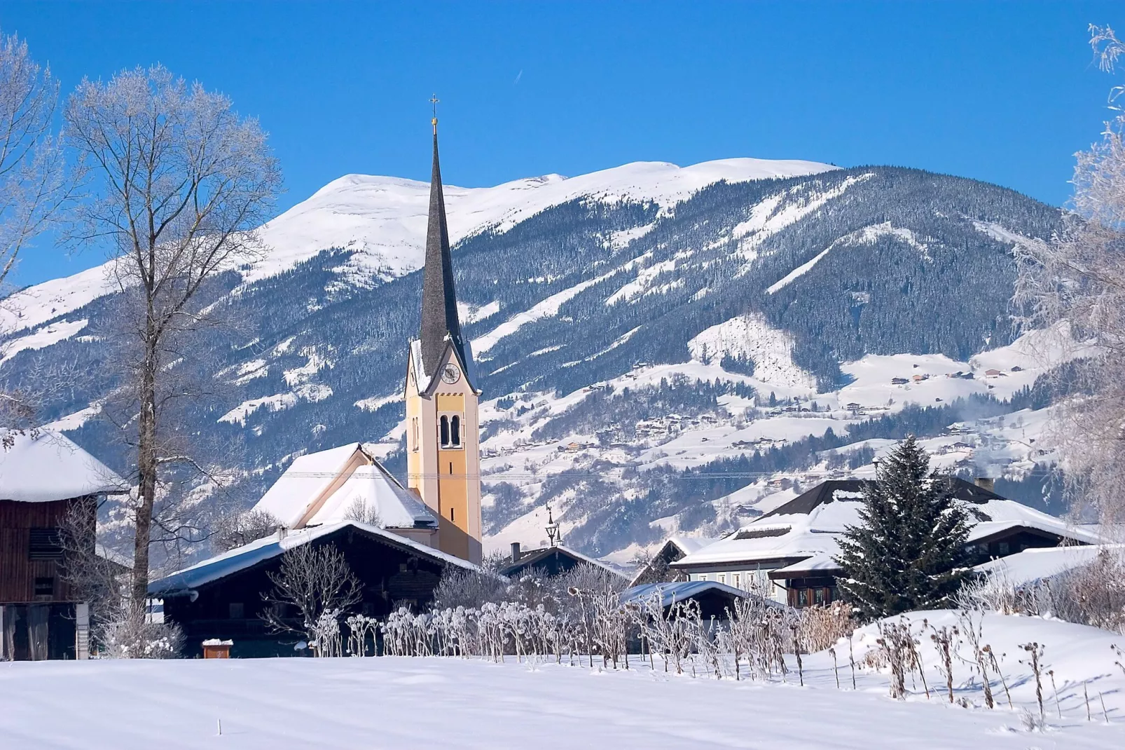 Chalet Freiblick-Area winter 5km