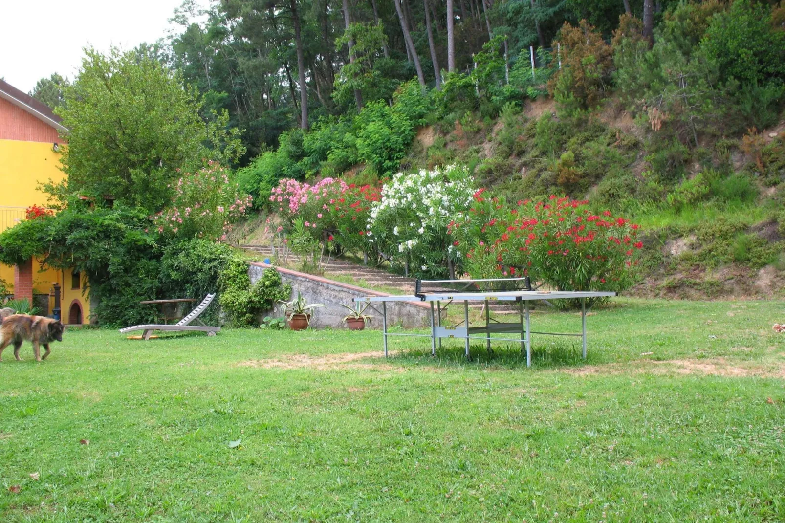 Nelverde 12-Gardens summer
