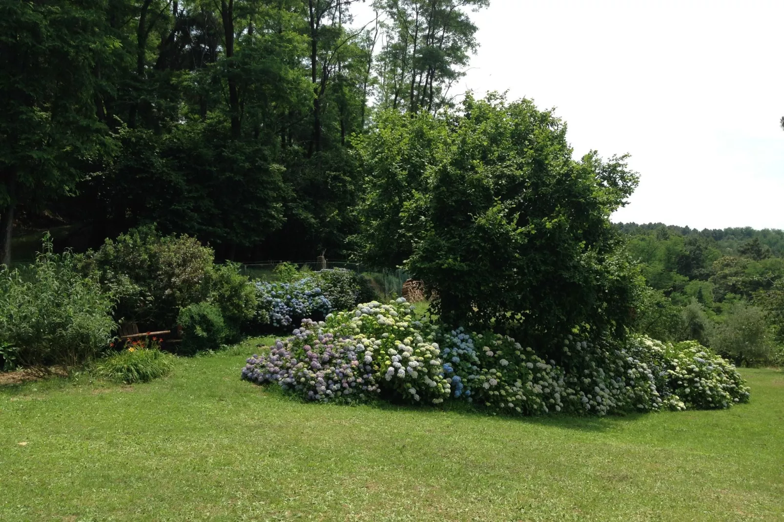 Nelverde 12-Gardens summer