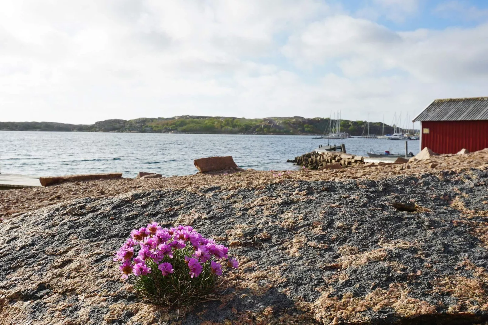 4 person holiday home in Bovallstrand-By Traum-View