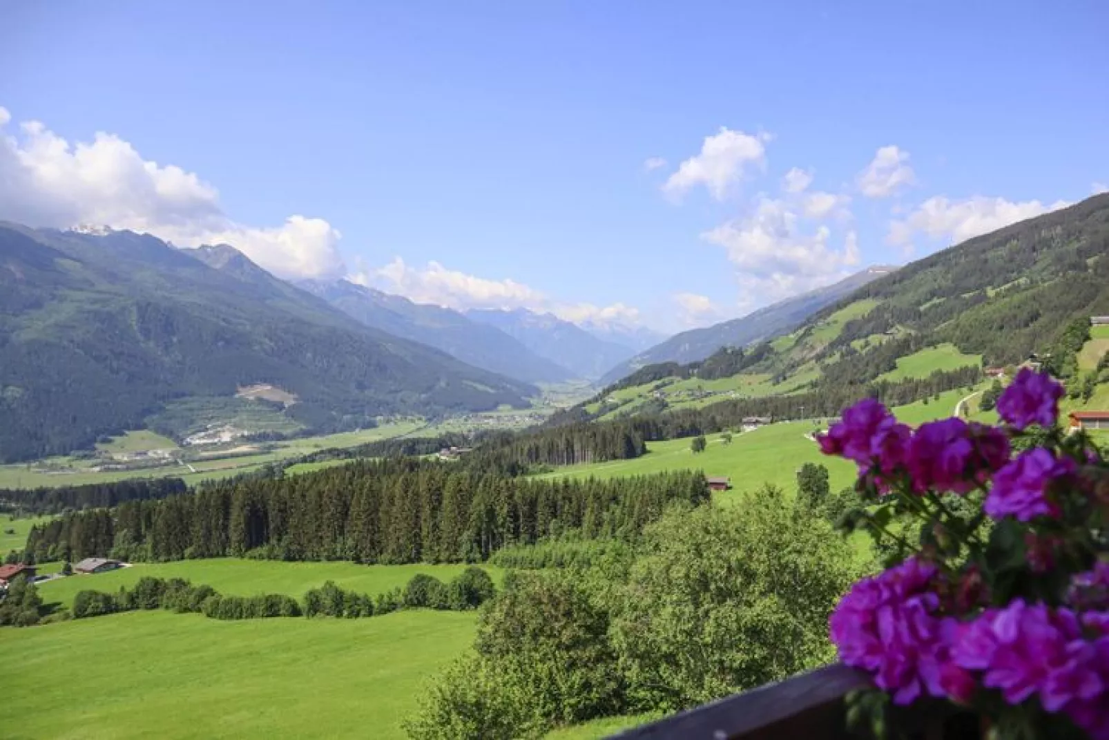 Motzerngut-View summer