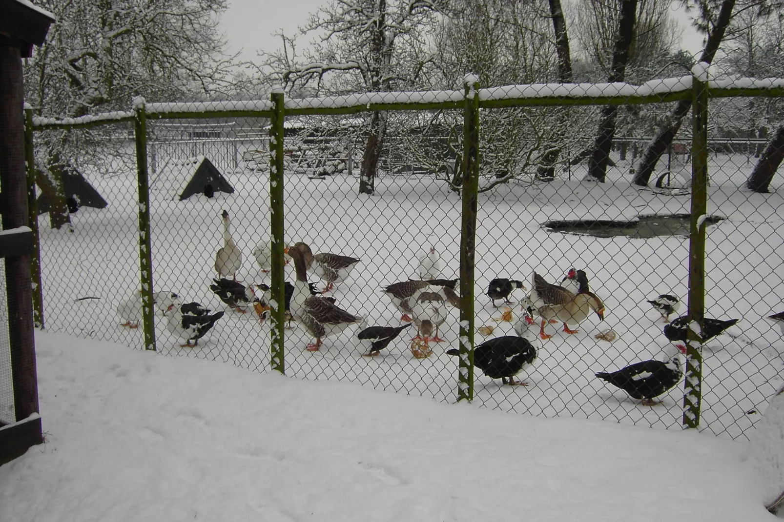 De Herberg-Area winter 1km