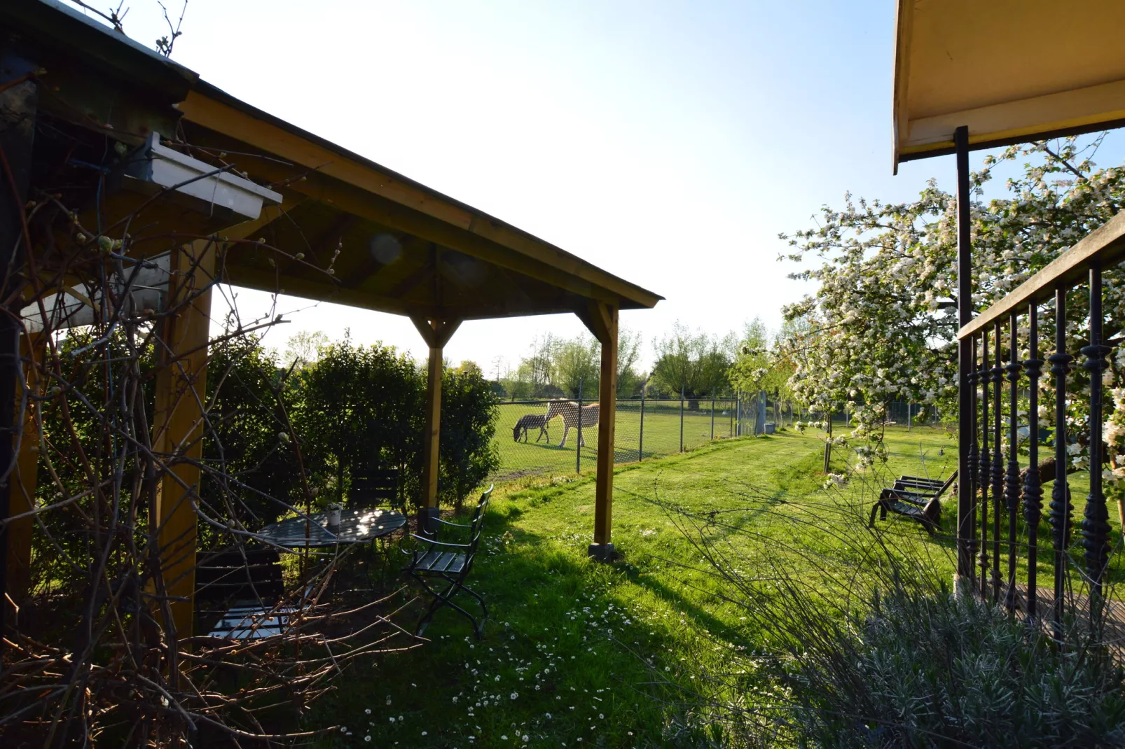 Pipowagen de Weideblick-Aussicht Sommer