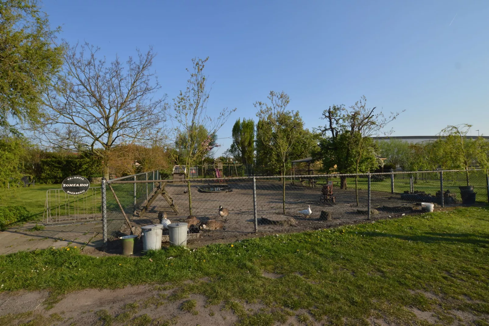 Pipowagen de Weideblick-Aussicht Sommer