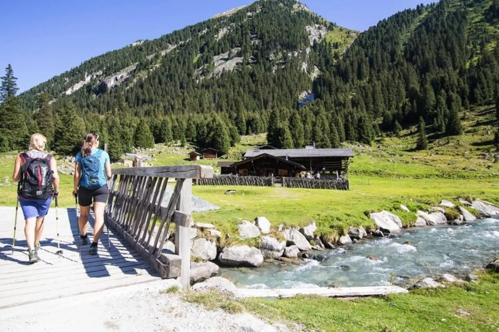 Chalet Wasserfall-View summer