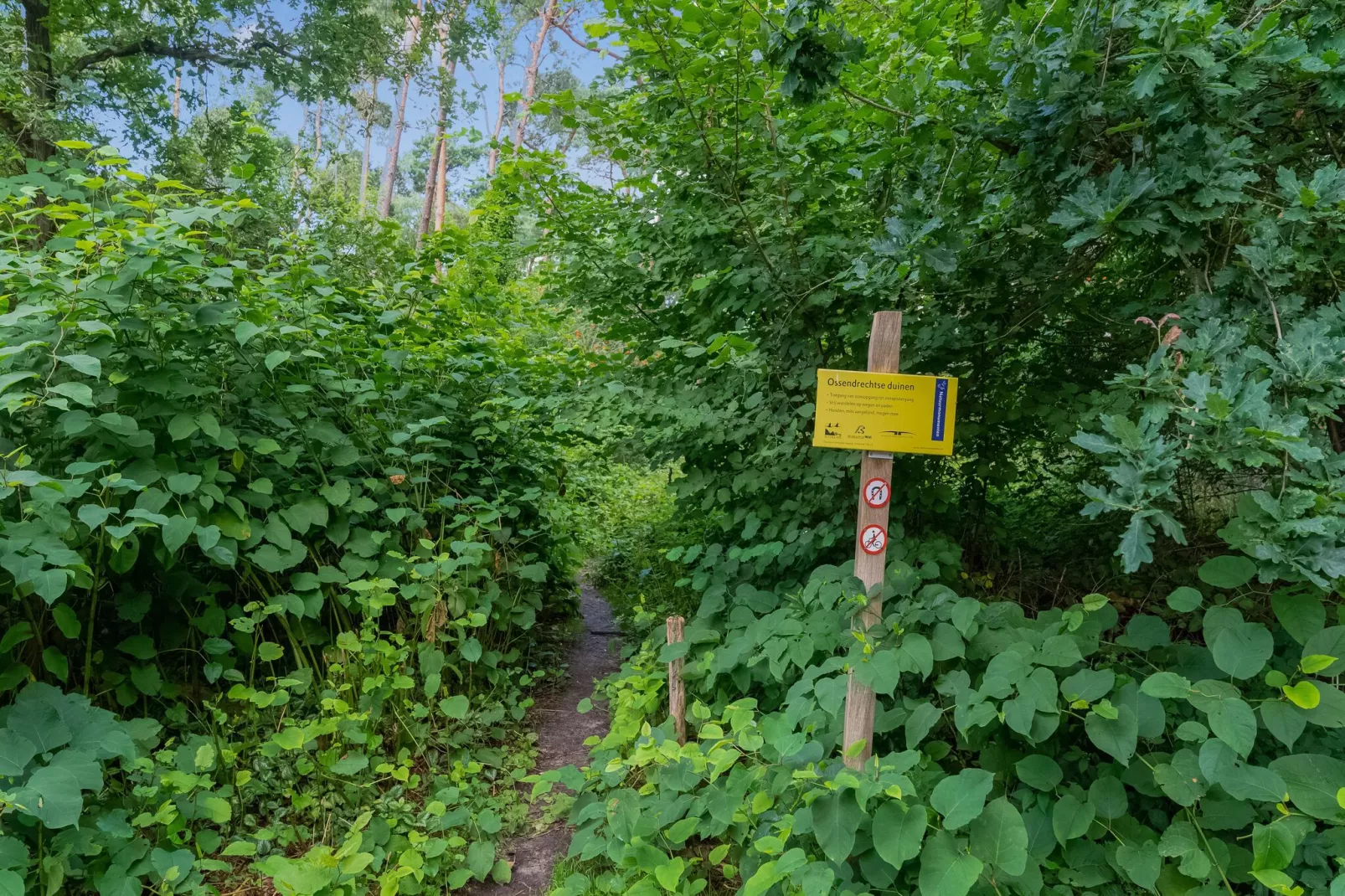 Het Haasje-Areas summer 5km
