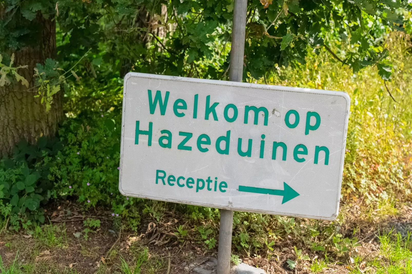 Het Haasje-Atmosphere