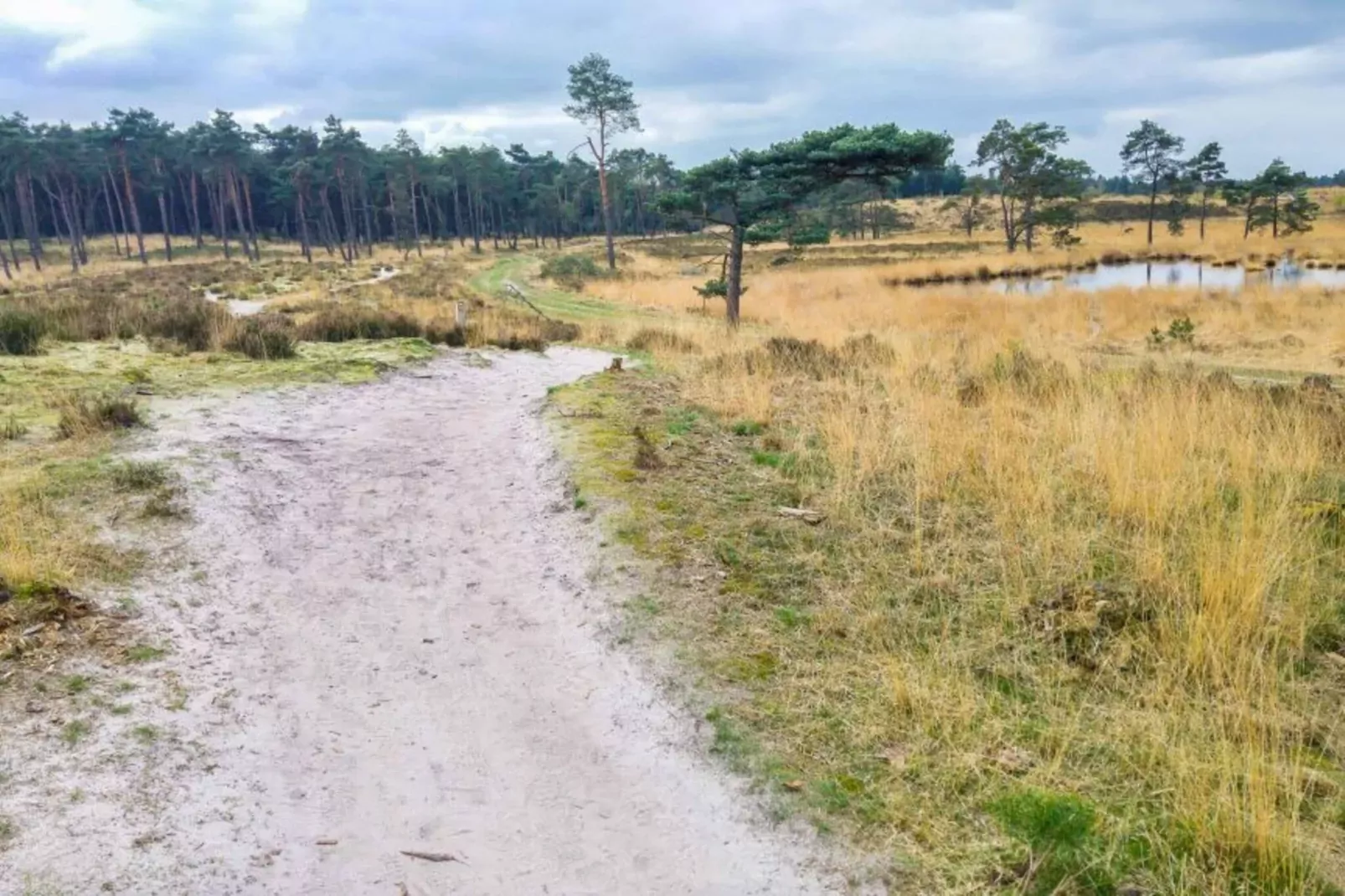 Het Haasje-Areas summer 5km