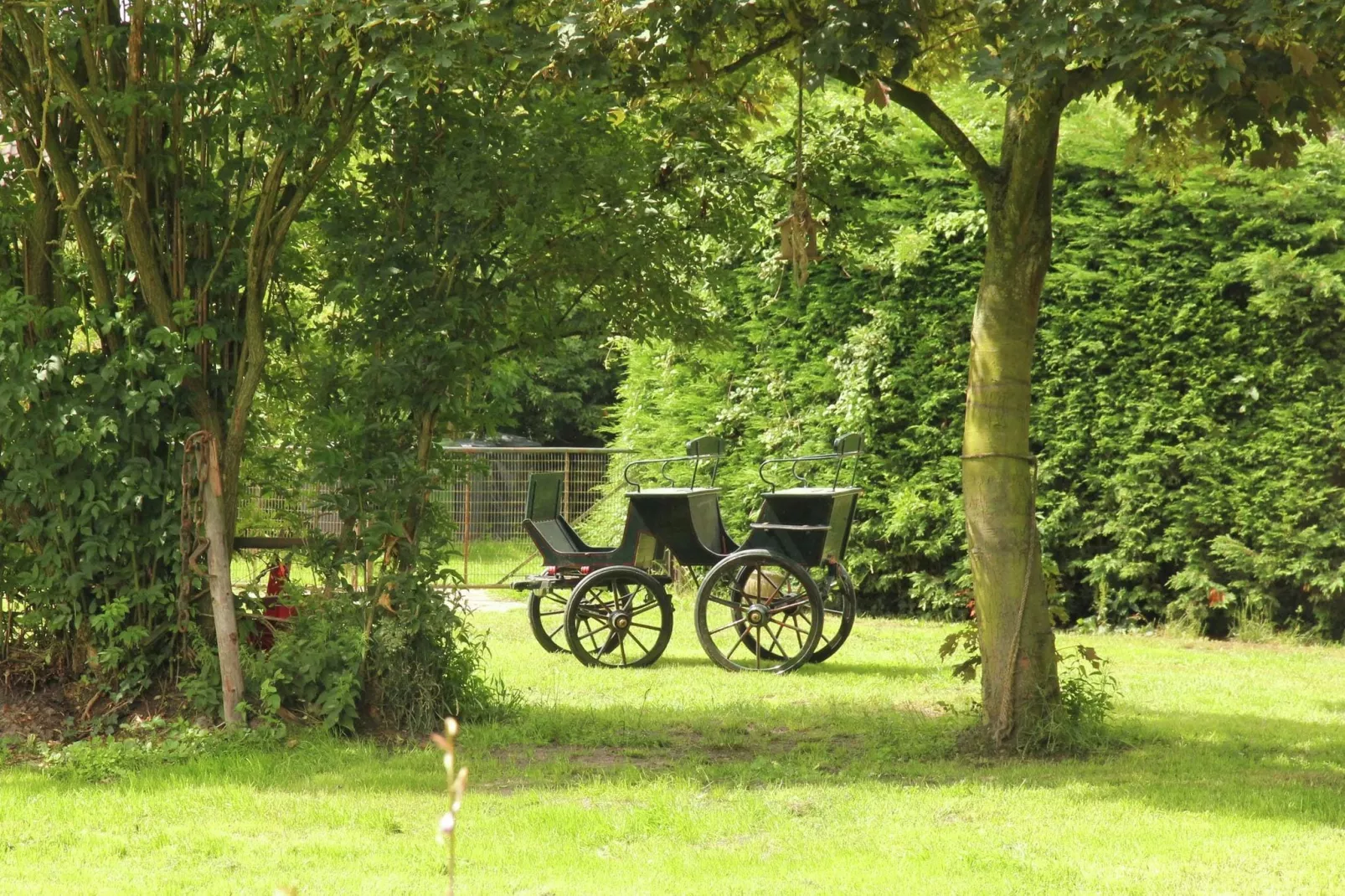 In de Weide-Gardens summer