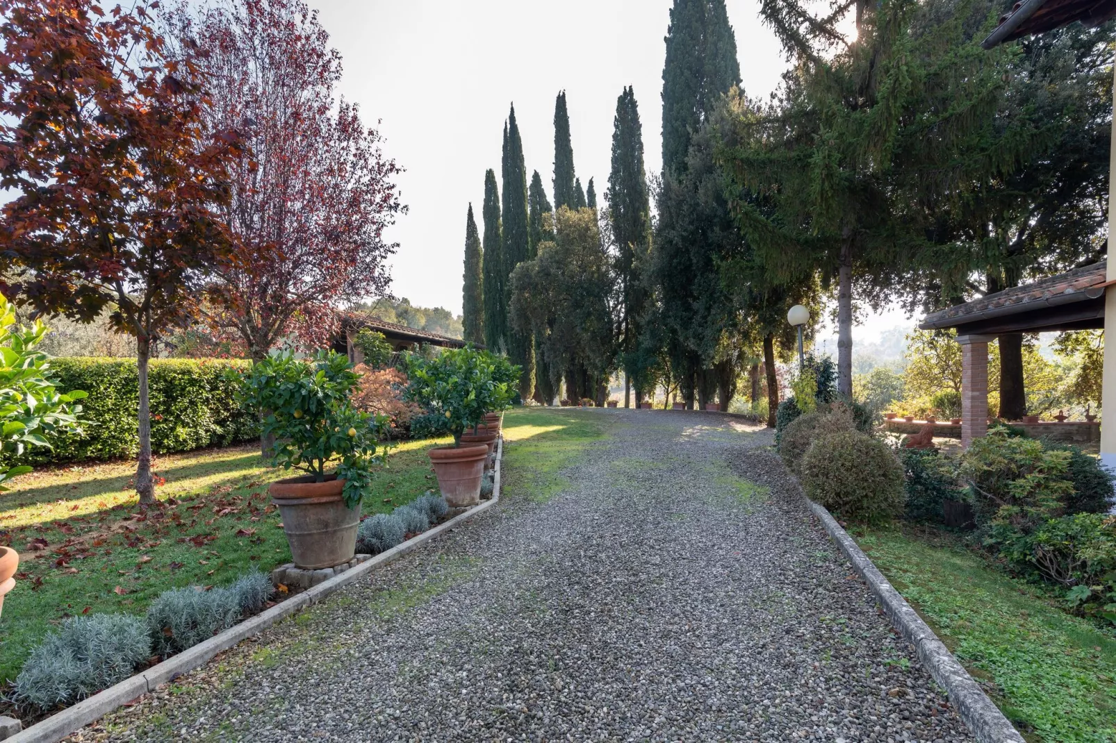 Il Leccio e Le Rose-Gardens summer