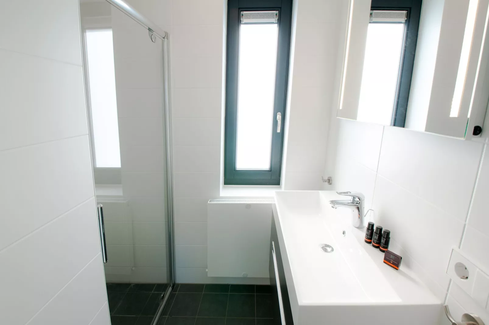 Resort Waterrijk Oesterdam 1-Badezimmer