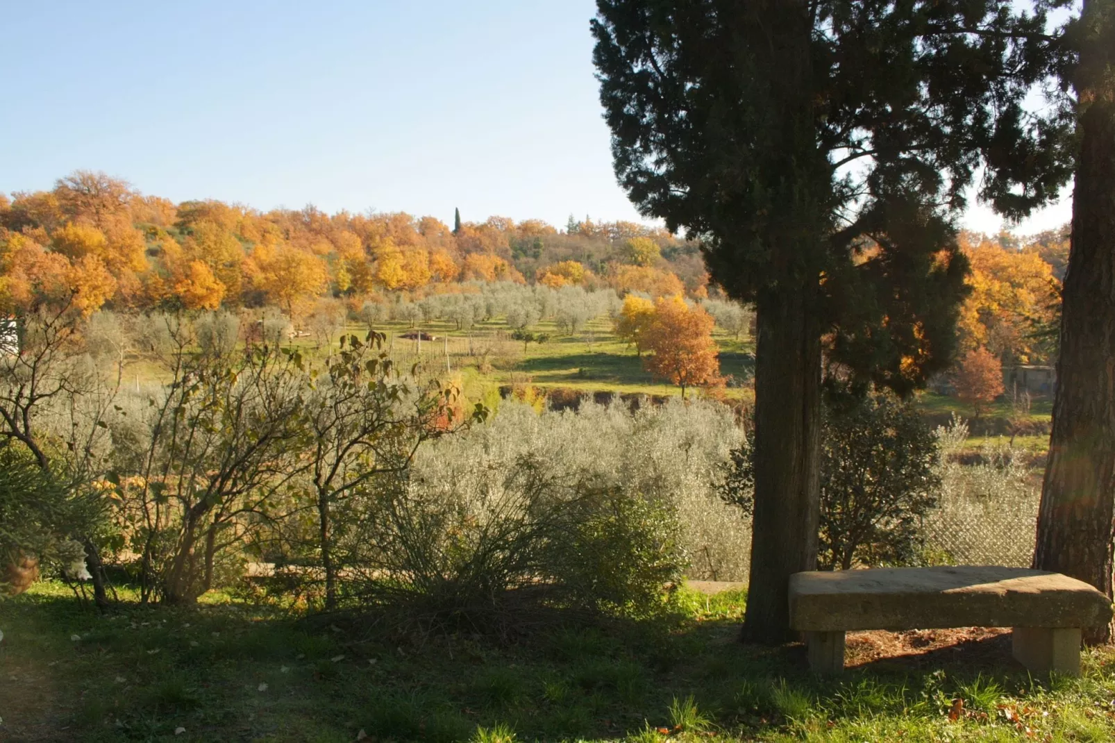 Il Leccio e Le Rose-Areas summer 1km