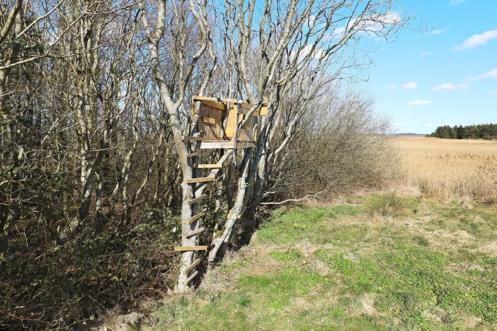 10 person holiday home in Thyholm-By Traum-View