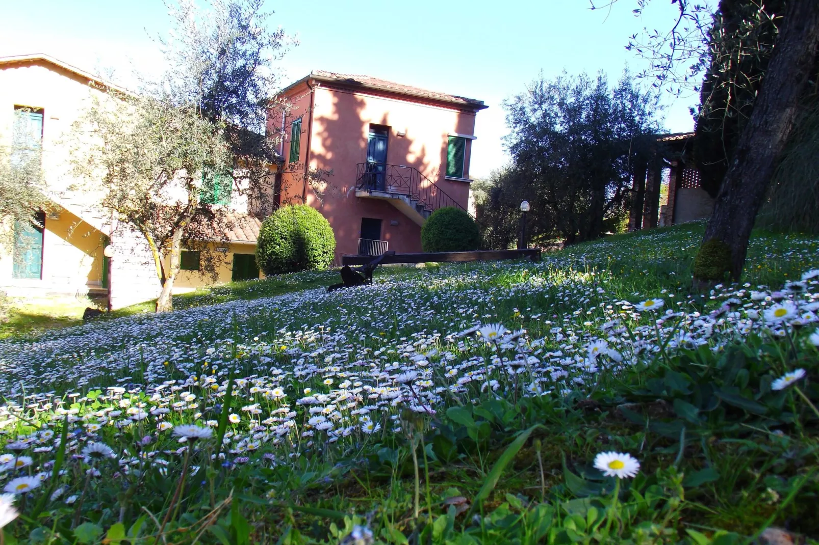 Bramante-View in winter