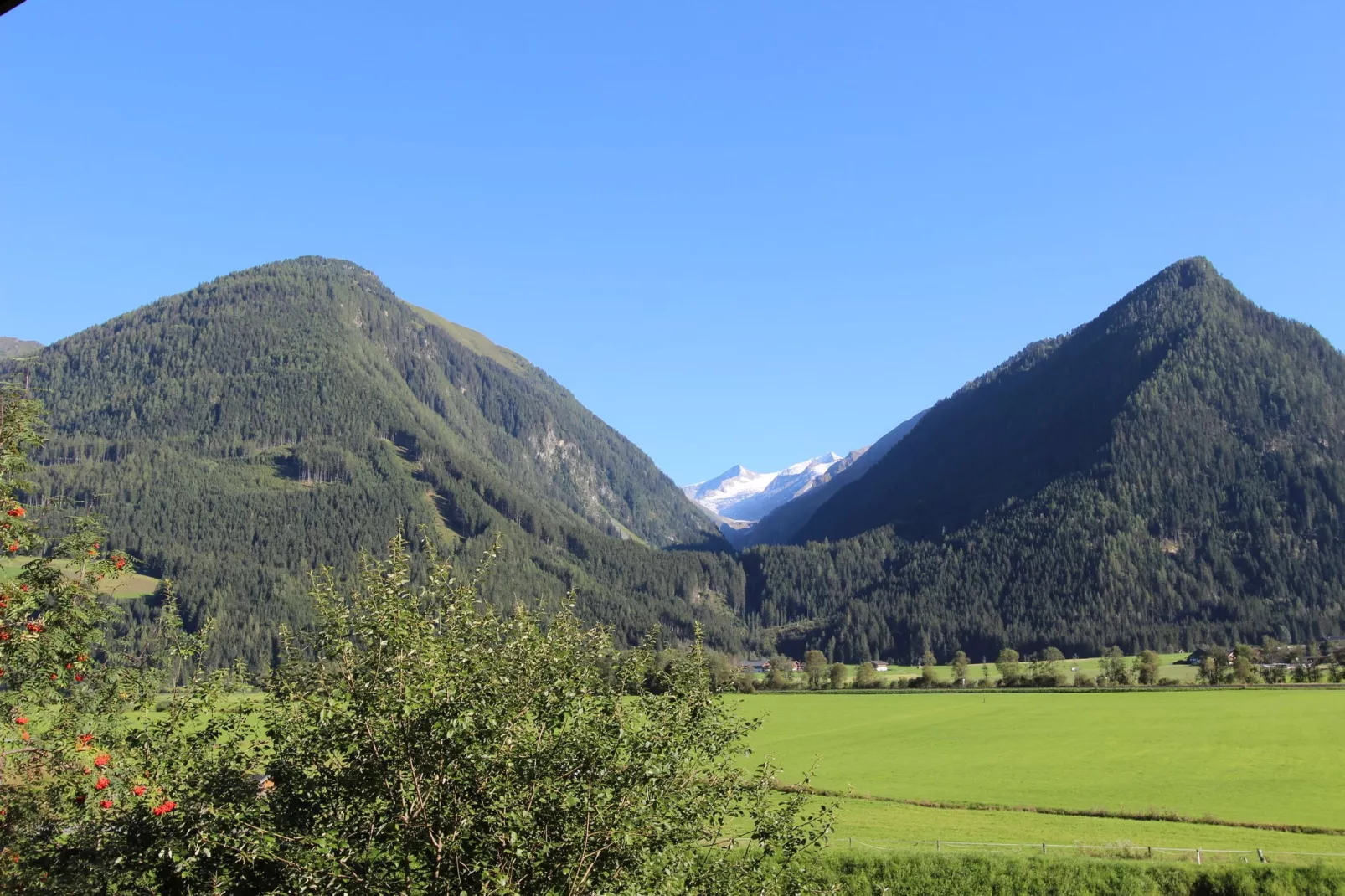 Haus Ferien-View summer