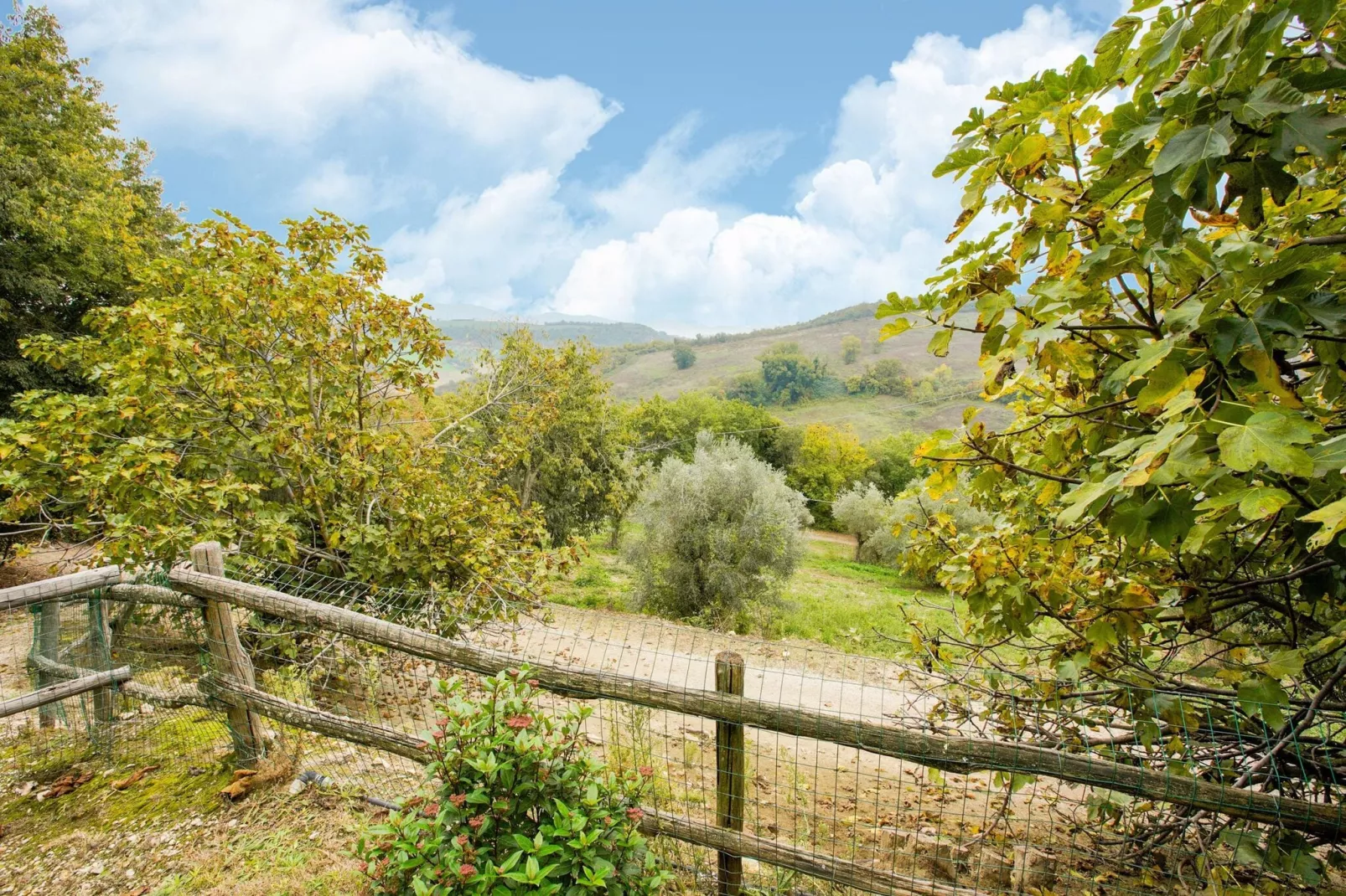 Poggio-View summer