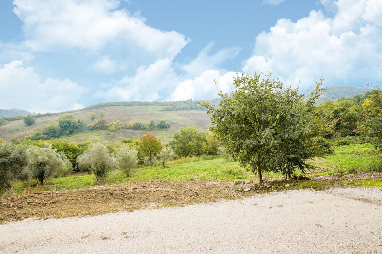 Poggio-Areas summer 5km