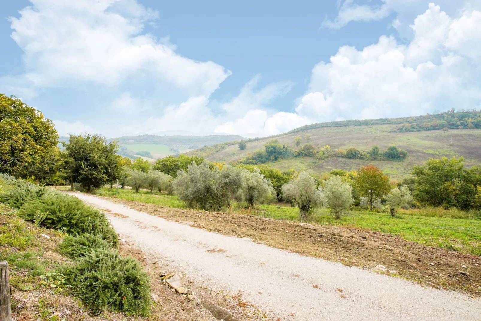 Poggio-Areas summer 1km