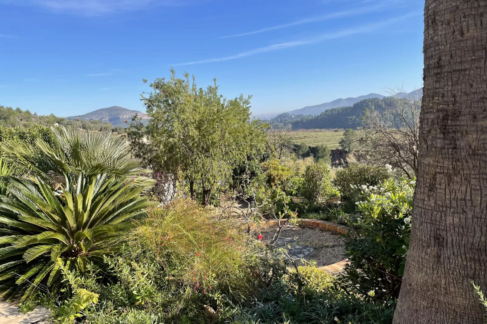 Villa Antonio Alto 4 pax-View summer