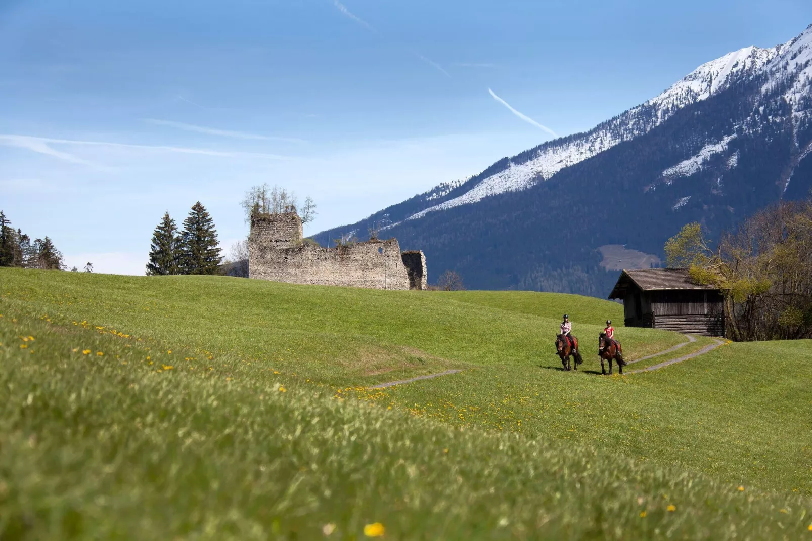 Penthouse Tauernfenster-Areas summer 5km