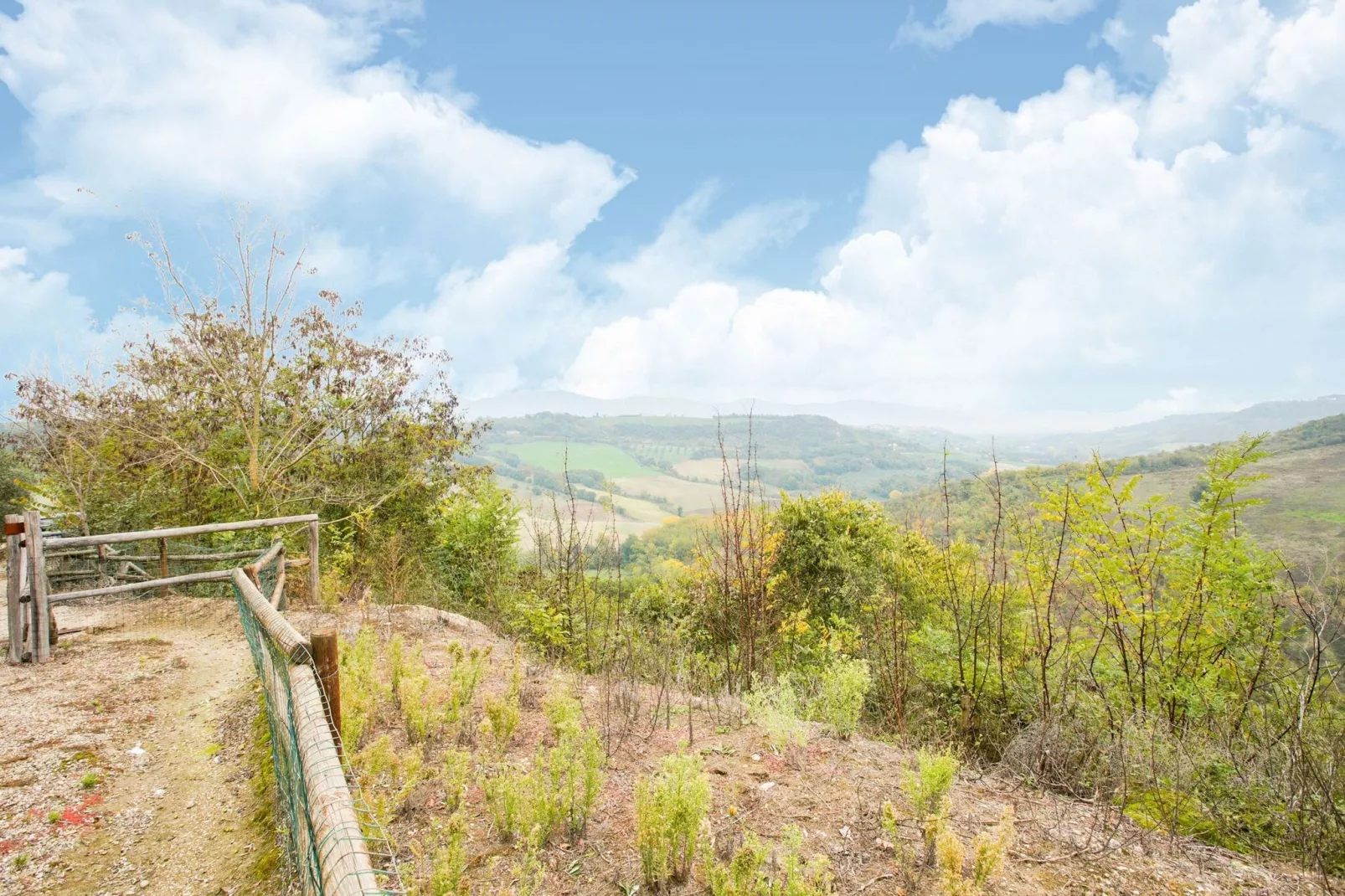 Cima Colle-View summer
