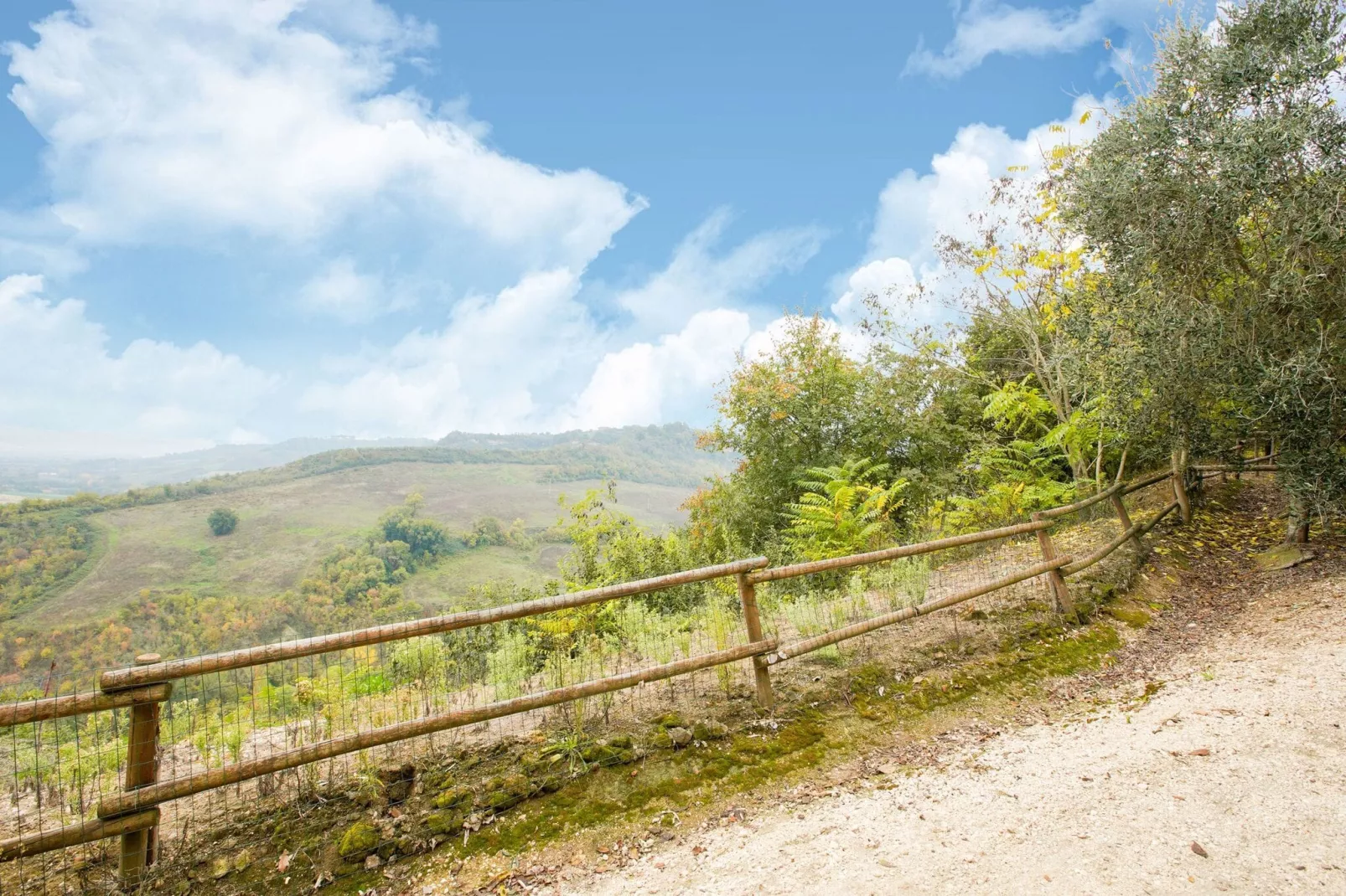 Cima Colle-Areas summer 1km