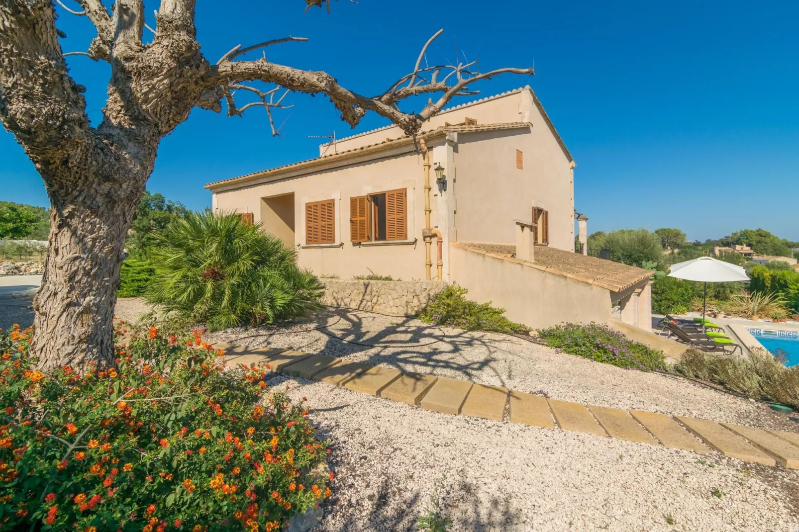 Pleta De Bonany-Exterior summer