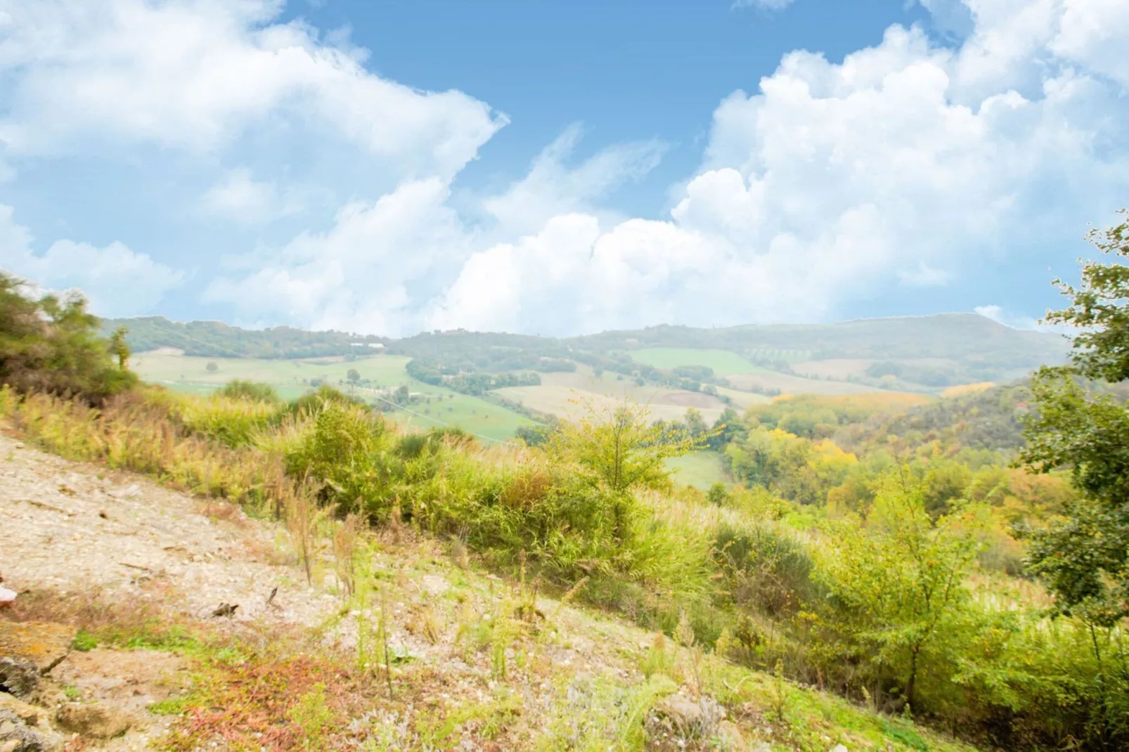 Il Belvedere-Areas summer 5km