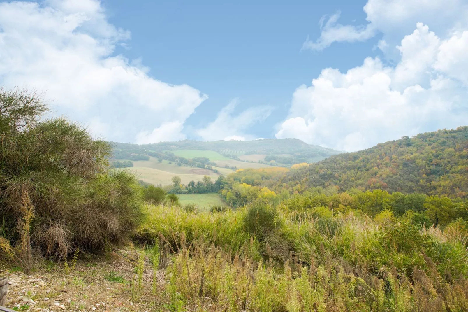 Il Belvedere-Areas summer 1km