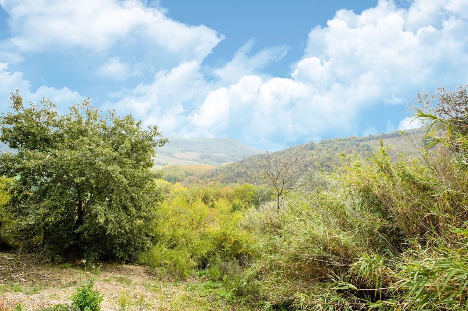 Il Belvedere-Areas summer 1km