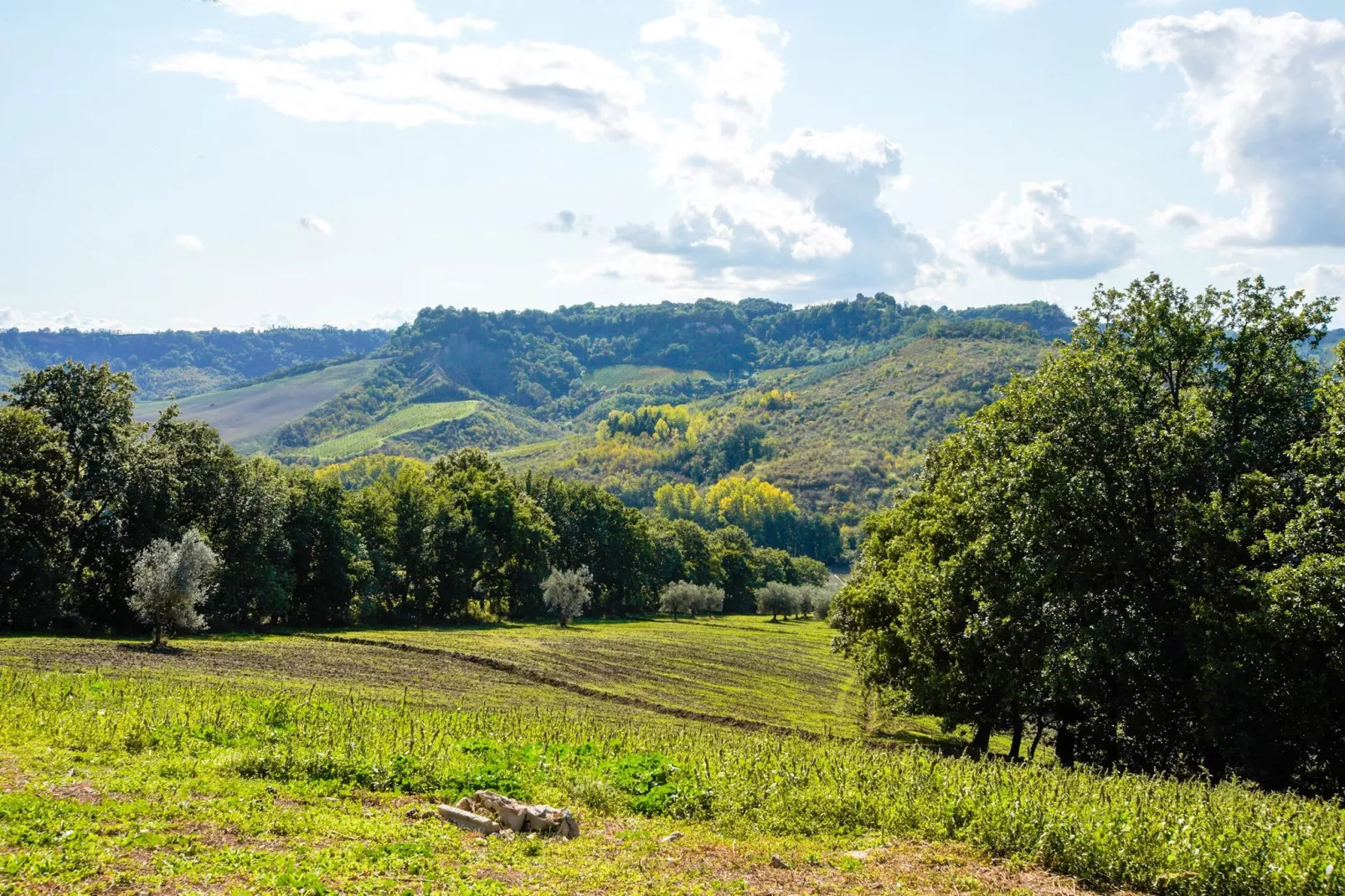 Villa Sparina-View summer