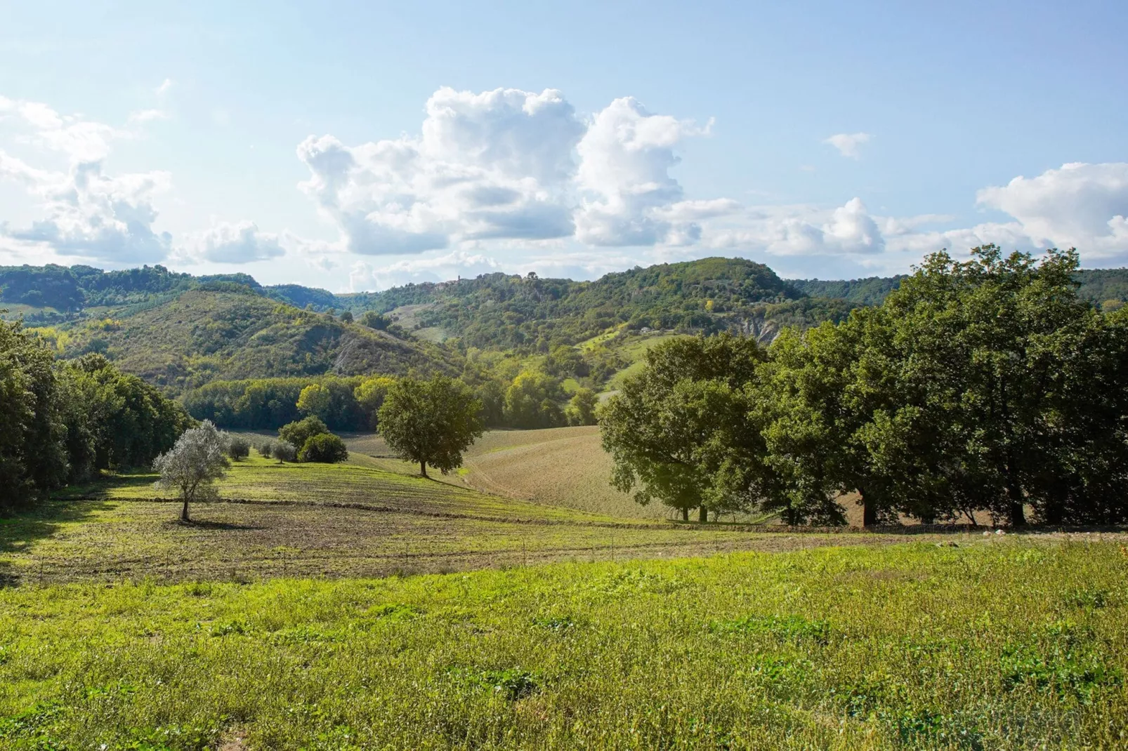 Villa Sparina-Areas summer 1km