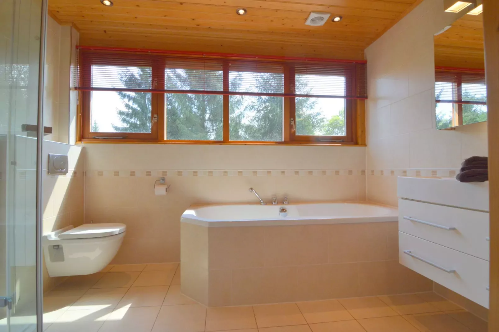 Villa Wisselse Veen-Bathroom