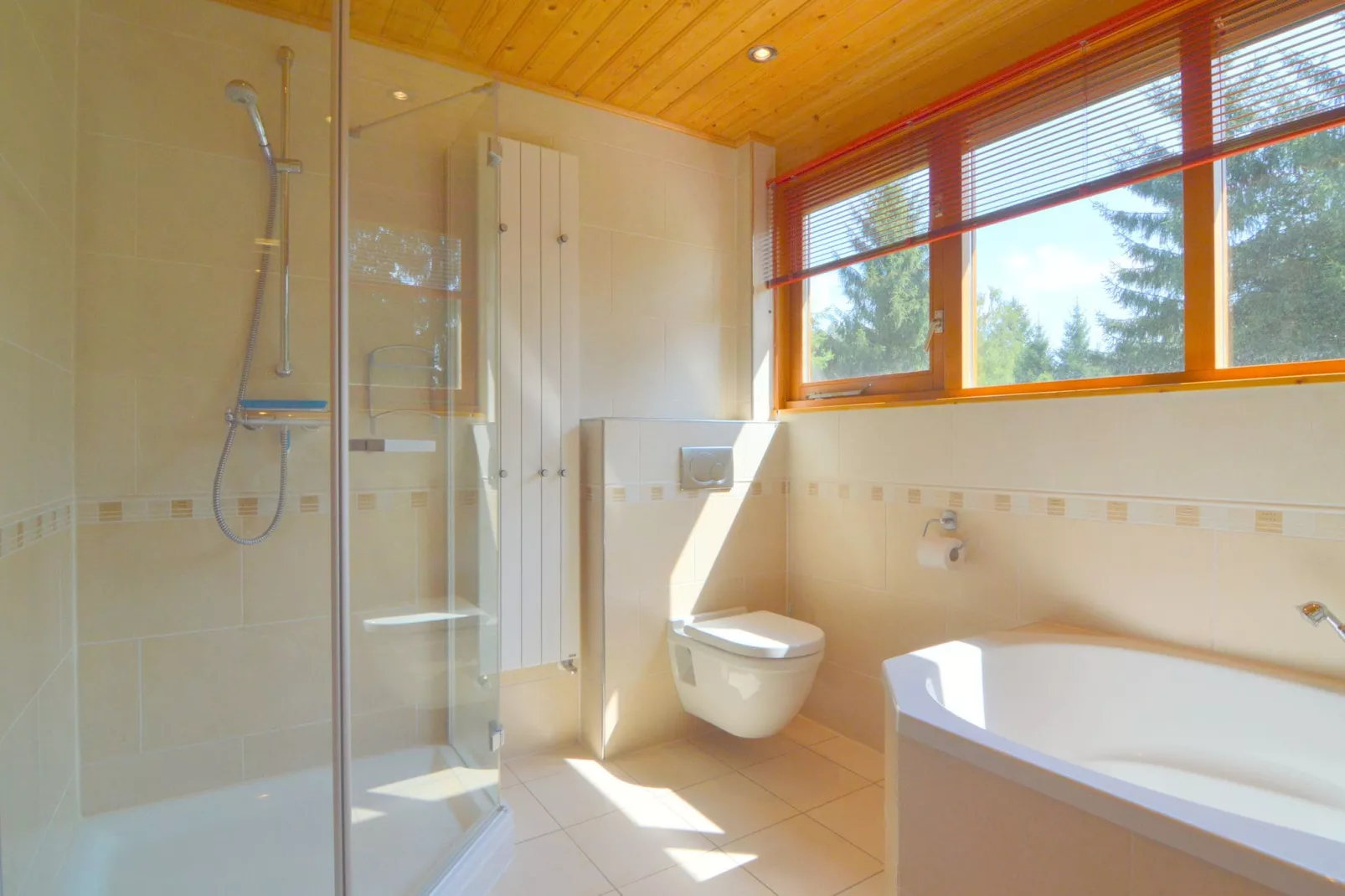 Villa Wisselse Veen-Bathroom