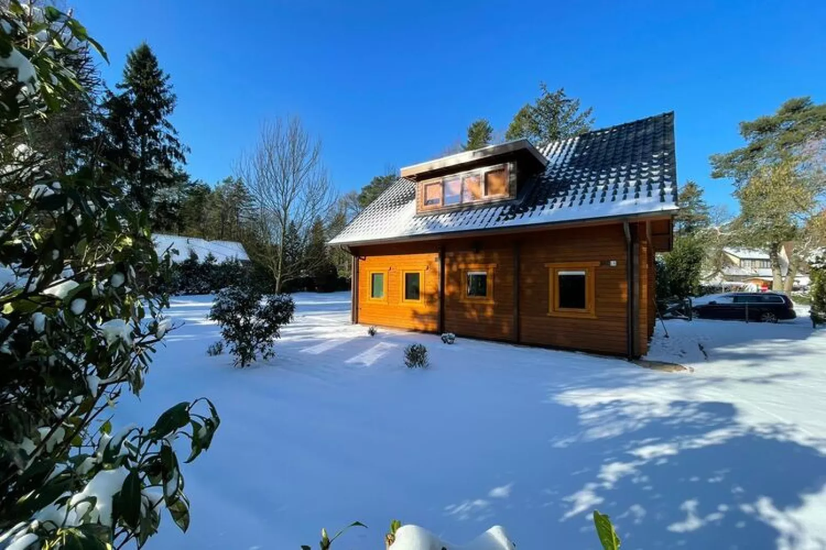 Villa Wisselse Veen-Exterior winter