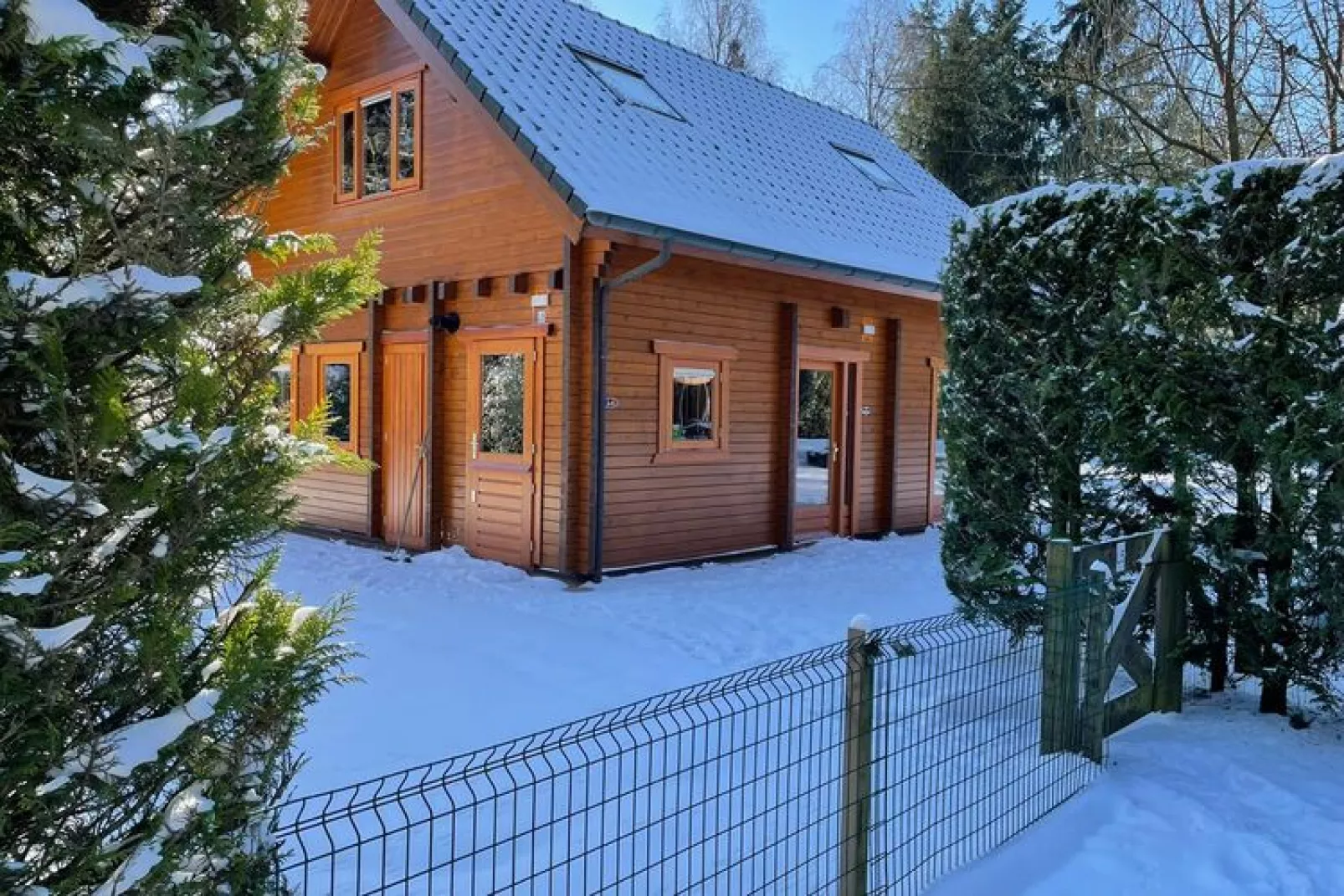 Villa Wisselse Veen-Exterior winter