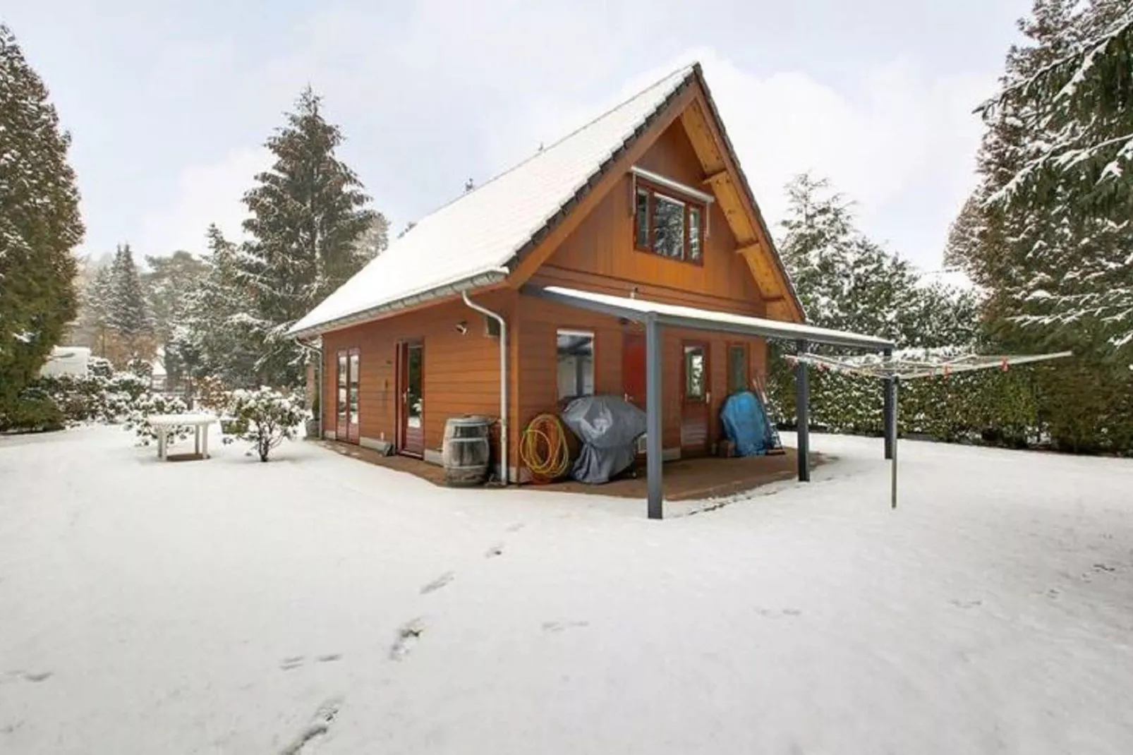 Prachtig vrijstaand huis met tuin op de Veluwe-Exterior winter