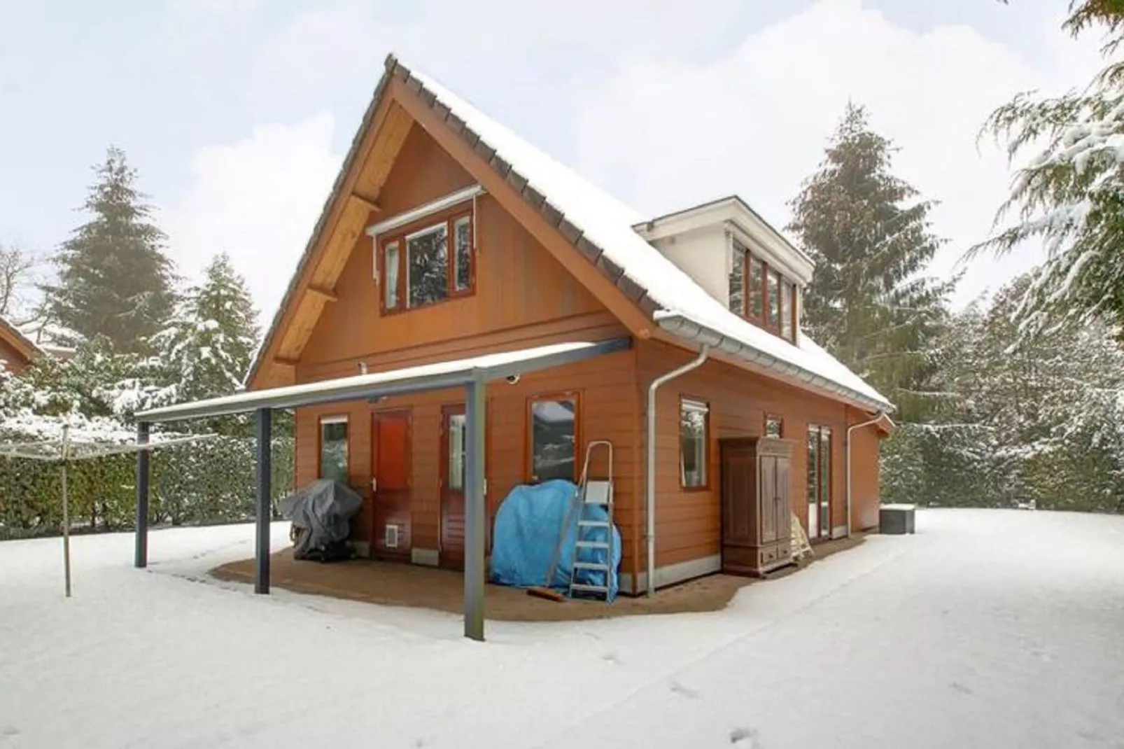 Prachtig vrijstaand huis met tuin op de Veluwe-Exterior winter