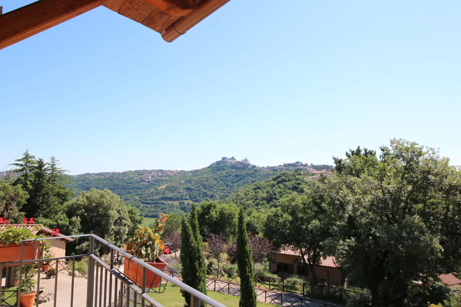 Vignente-View summer