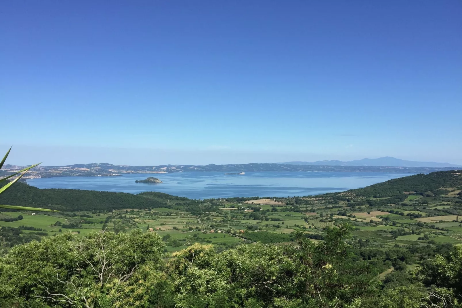 Castagneto-Areas summer 1km