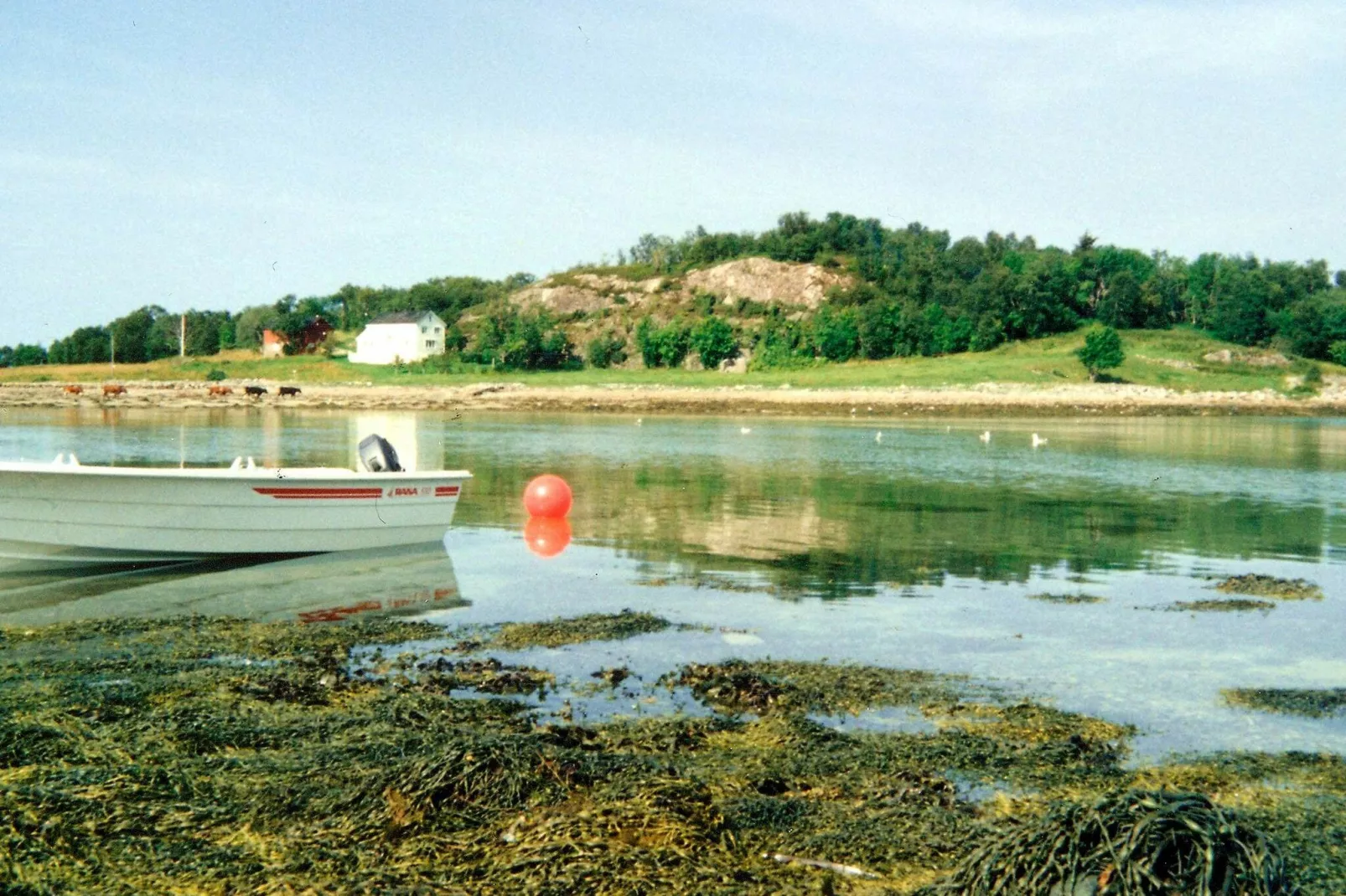 5 person holiday home in ENGAVÅGEN-By Traum-View