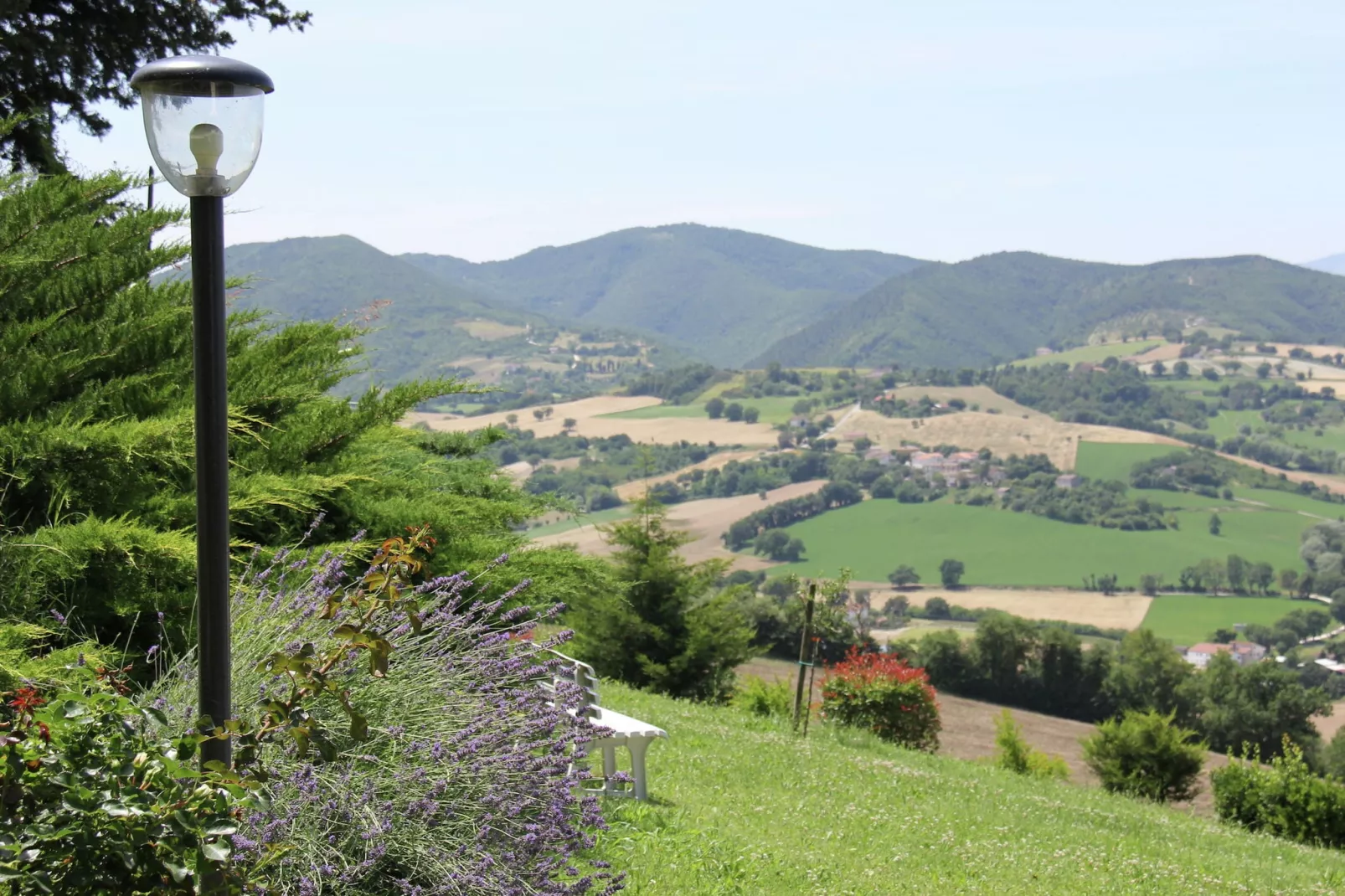 Colle-View summer