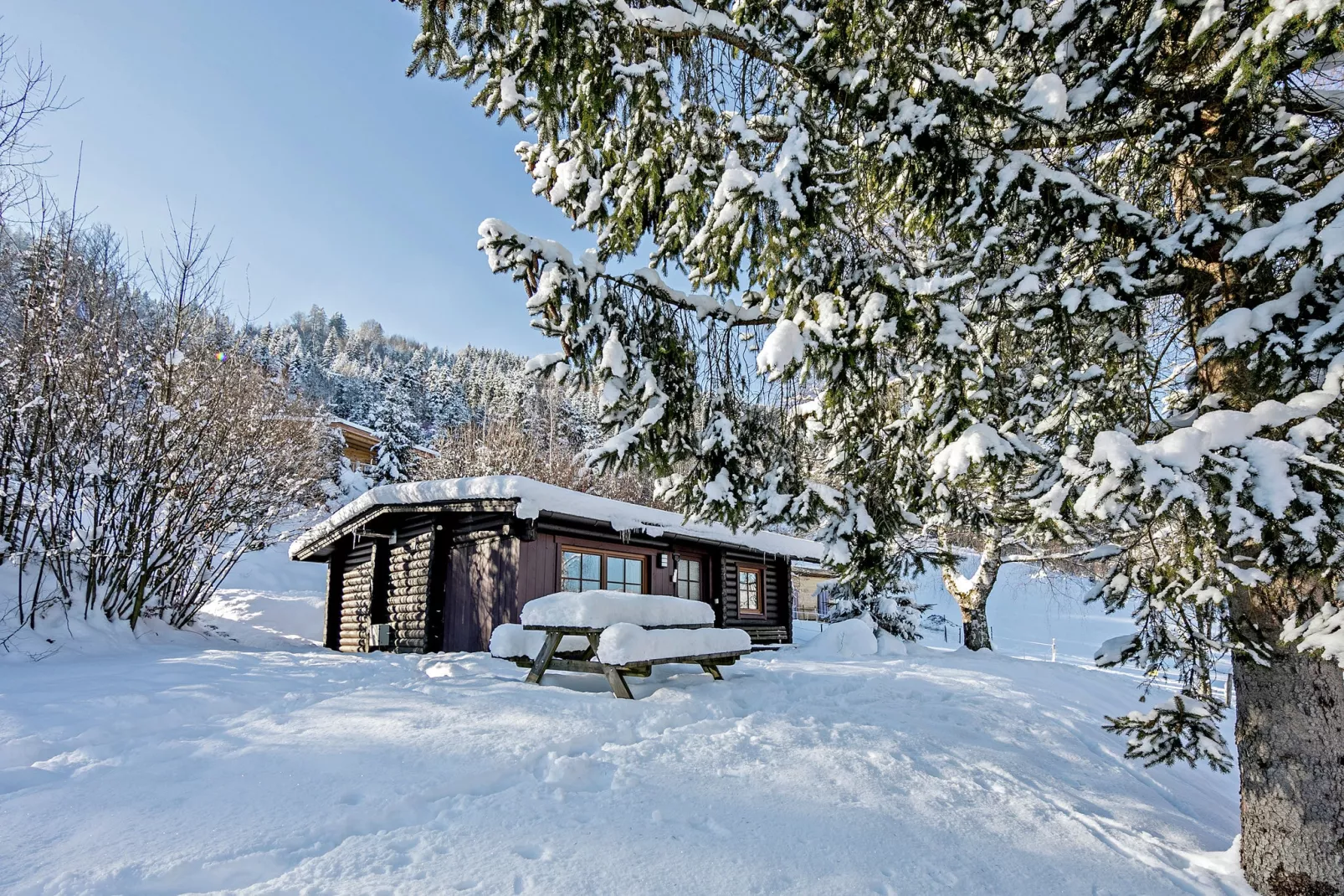 Chalet im Brixental I-Exterior winter