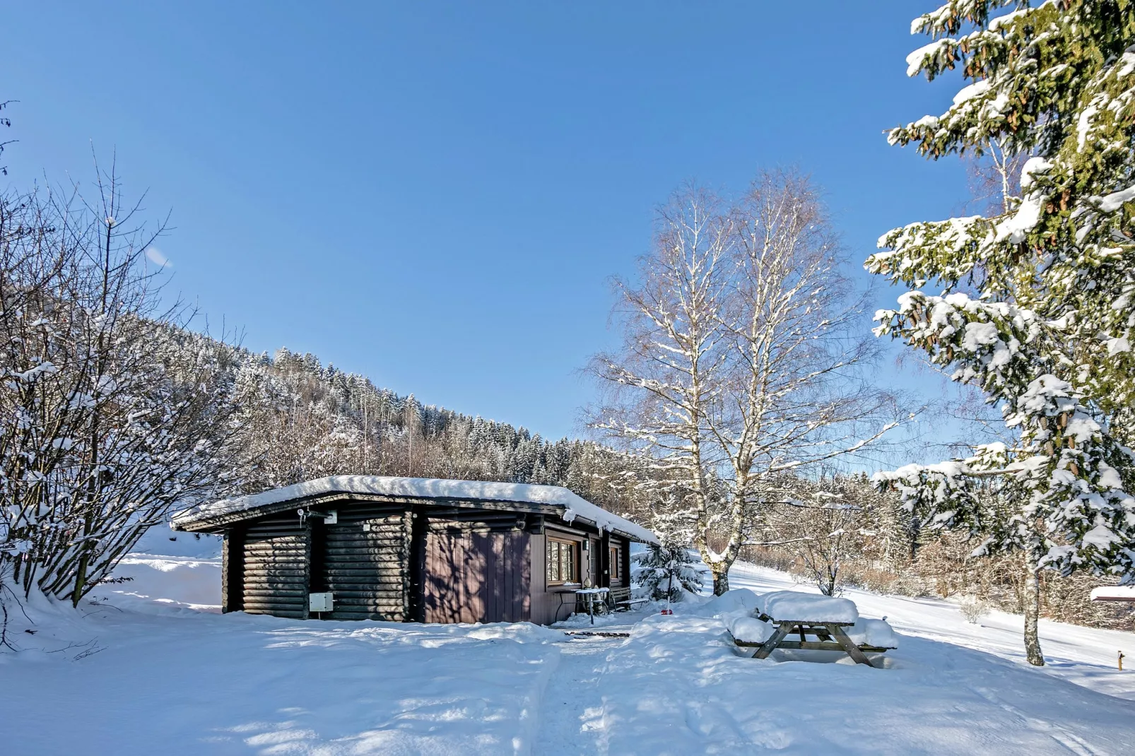 Chalet im Brixental I-Exterior winter