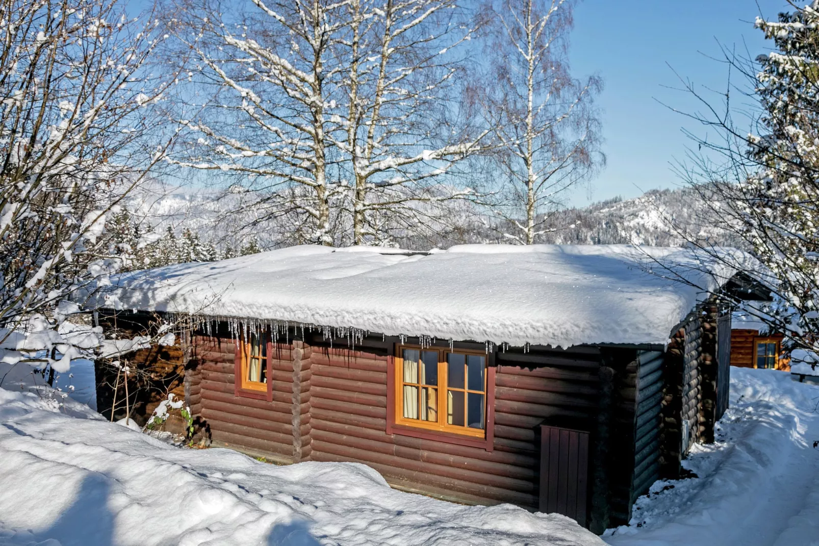 Chalet im Brixental I-Exterior winter