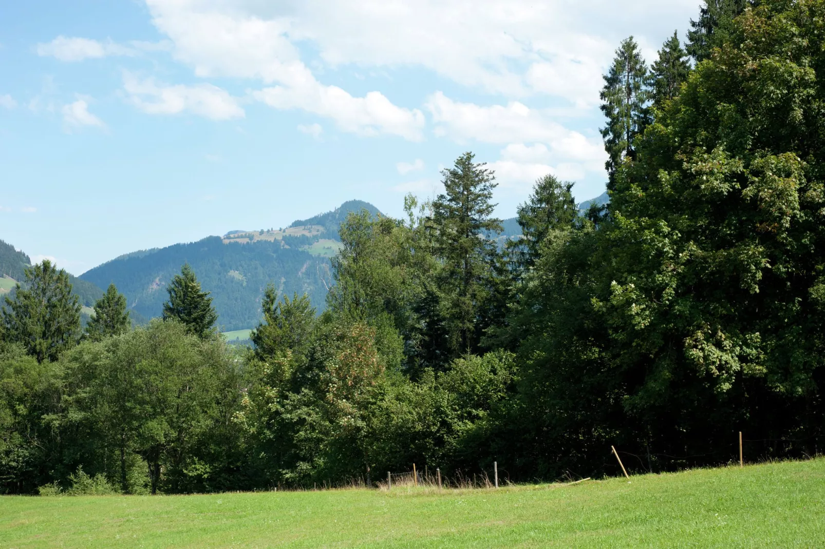 Chalet im Brixental I-Gardens summer
