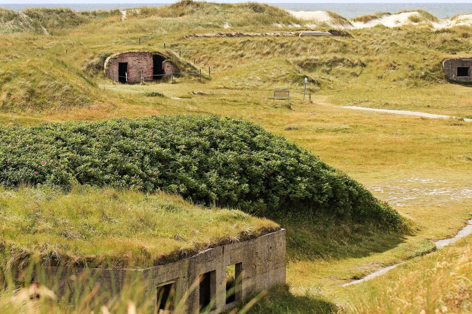 9 person holiday home in Ringkøbing-By Traum-Not tagged